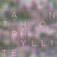 Calcou — Anthophyllite — обложка