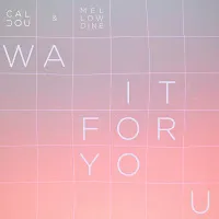 Calcou — Wait For You Ft Mellowdine — обложка